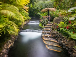 Costa Rica Adventure: A Diary of Music, Culture, and Discovery